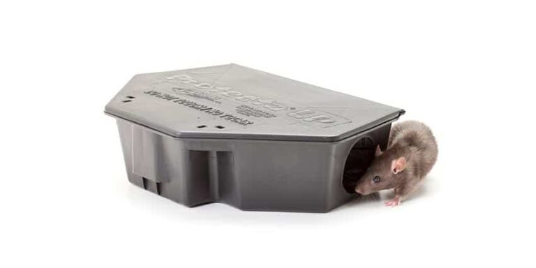 Rodent bait station installed in Gold Coast home during pest control treatment