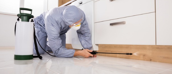 Home prepared for general pest control treatment with clear floor space